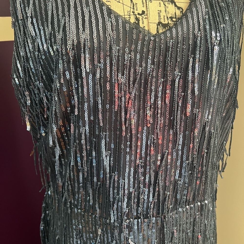 R&M Richards Sleeveless Sequin Fringe Dress - Picture 2 of 12